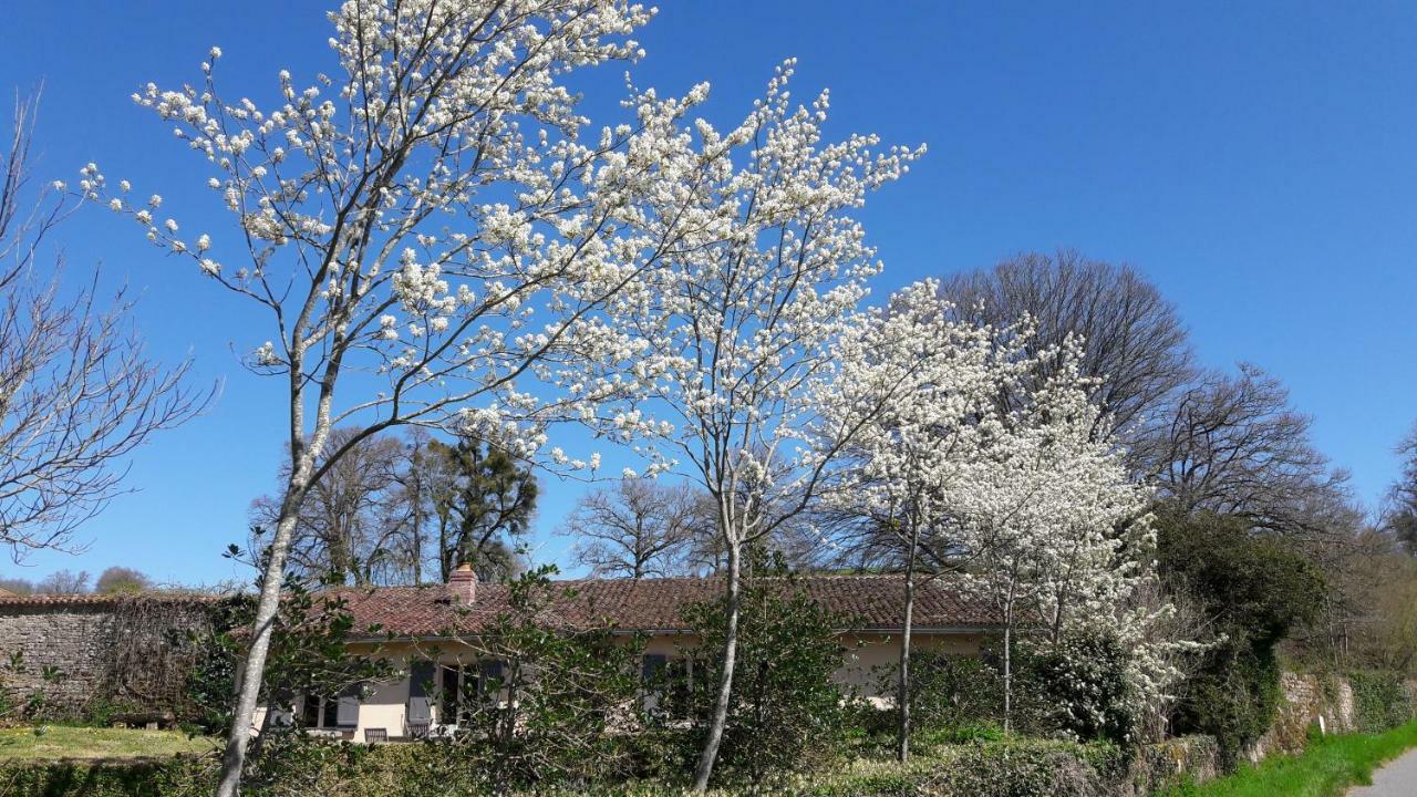 Thauron Abbaye Du Palais Bed & Breakfast エクステリア 写真